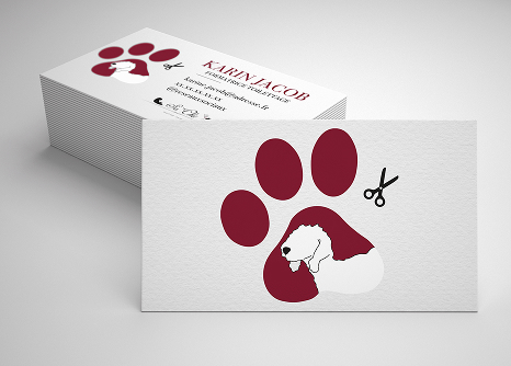 Image du portfolio de branding.